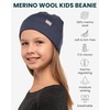 100% Merino Wool Beanie Kids – Unisex Wool Cap 17.5um for Kids -Toddler Hat(Windsor Blue)